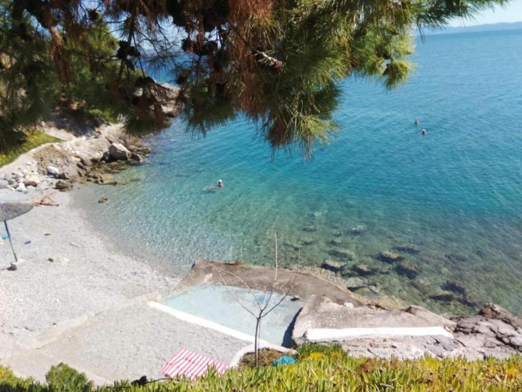 Jj Volos Luxury Center Home Dış mekan fotoğraf